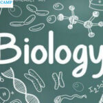 Latihan Soal TKA Biologi Serta Jawaban