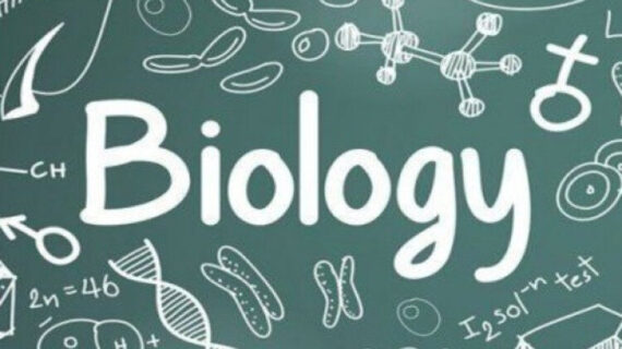 Latihan Soal TKA Biologi Serta Jawaban