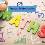 Fungsi Matematika SMA: Konsep Dasar, Relasi, dan Penerapannya Secara Lengkap