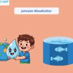Jurusan Akuakultur: Peluang Karier Menjanjikan di Bidang Perikanan Modern dan Berkelanjutan