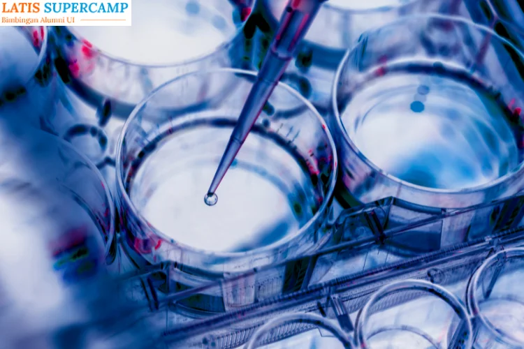 Jurusan Bioteknologi, Pilihan Masa Depan untuk Generasi Inovatif di Era Teknologi Modern
