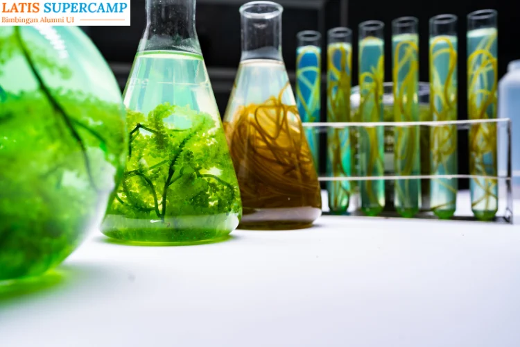 Jurusan Bioteknologi, Pilihan Masa Depan untuk Generasi Inovatif di Era Teknologi Modern