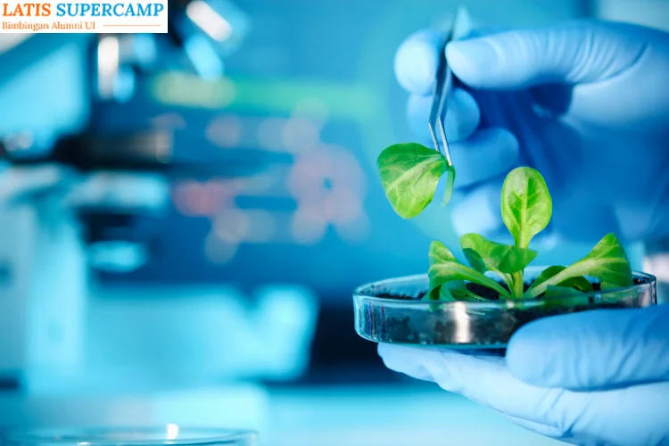 Jurusan Bioteknologi, Pilihan Masa Depan untuk Generasi Inovatif di Era Teknologi Modern