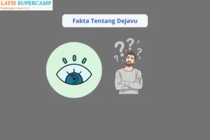 Definisi Dejavu